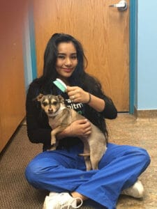 KVH-Daniella-1a Daniela Perez, Lead Veterinary Technician at Kipling Veterinary Hospital and Wellness Center