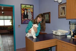 Dr MacKenzie gives kitty a wellness exam at Kipling Veterinary Hospital and Wellness Center