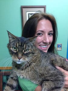 Pet care at Kipling Veterinary Hospital and Wellness Center