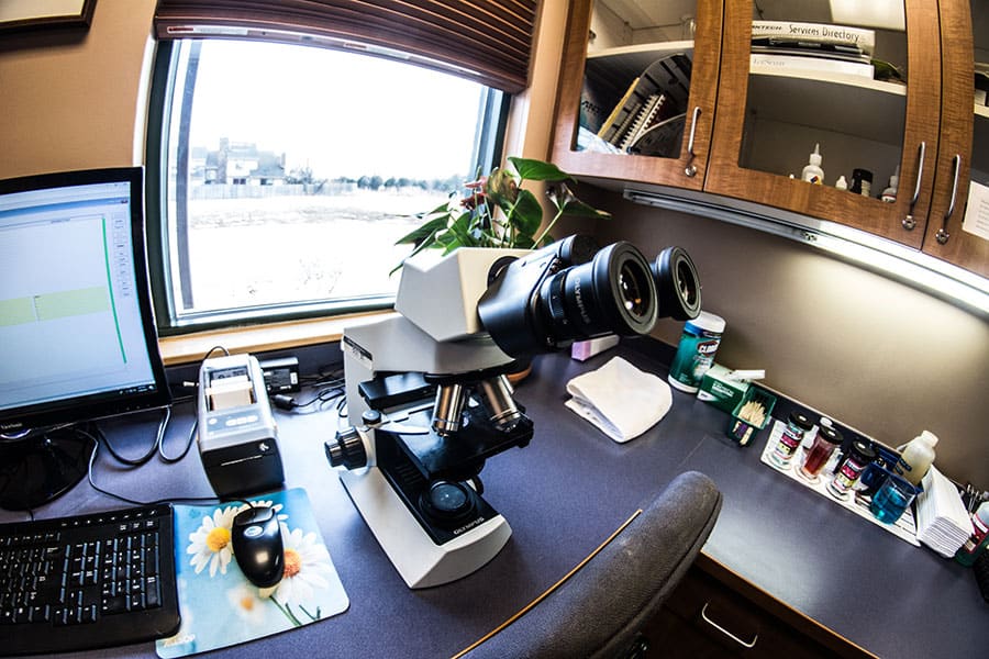 State of the art laboratory at Kipling Veterinary Hospital and Wellness Center